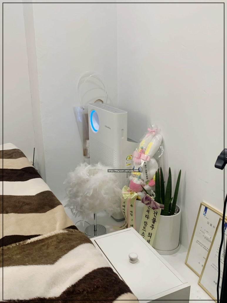 래쉬빈 이미지
