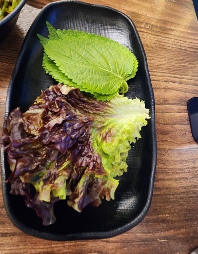 고기력 이미지