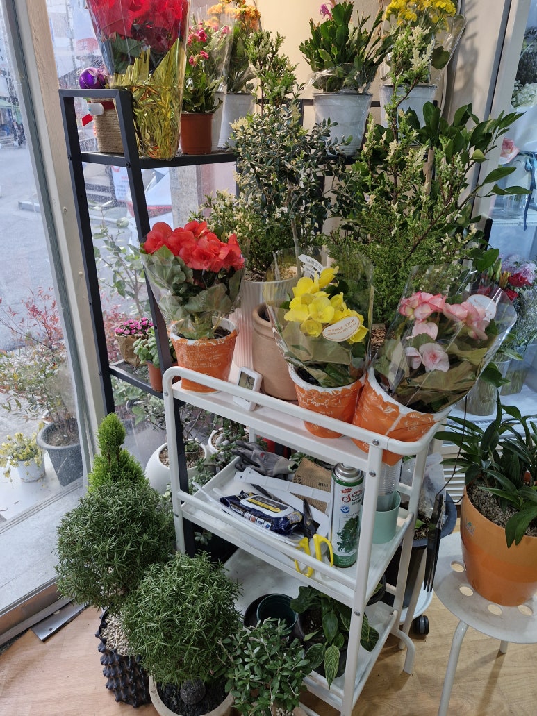 쩡아네정원 이미지