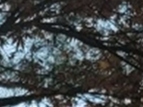 와인치과의원 이미지