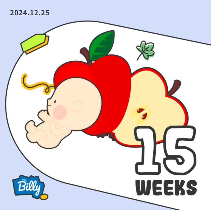 젠또 이미지