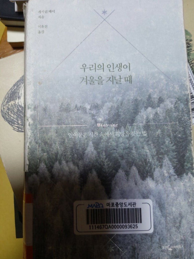 윈터메이 이미지