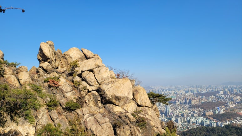 관악산김밥 이미지
