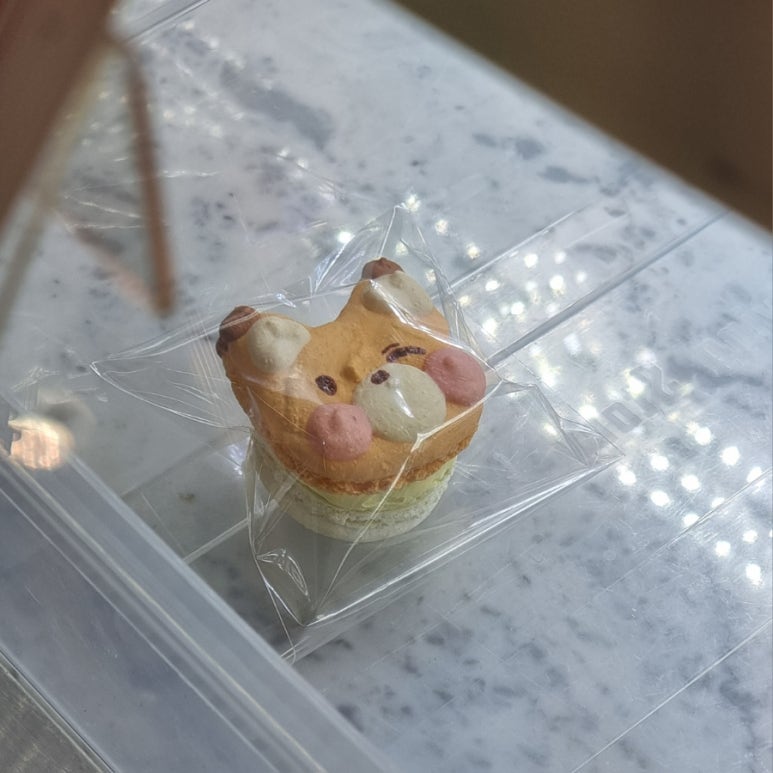 파티세리로그 이미지