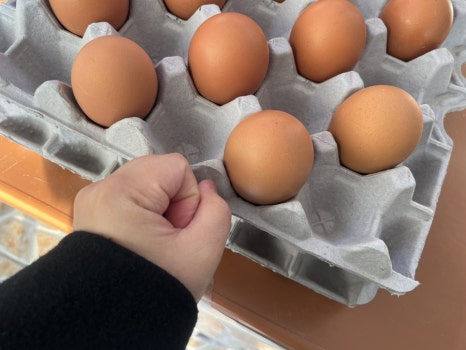 계란직판장 이미지