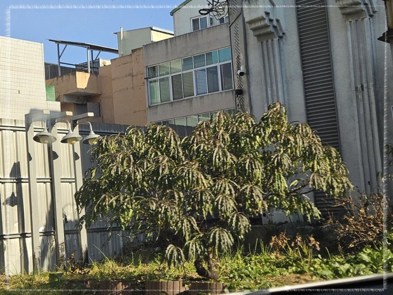 살롱드영 이미지