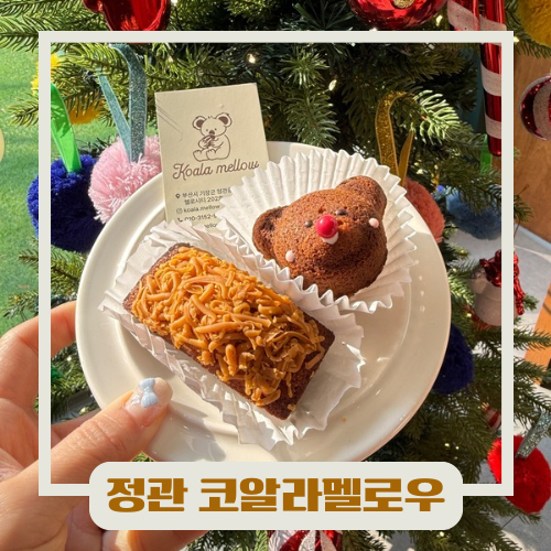 코알라멜로우 이미지