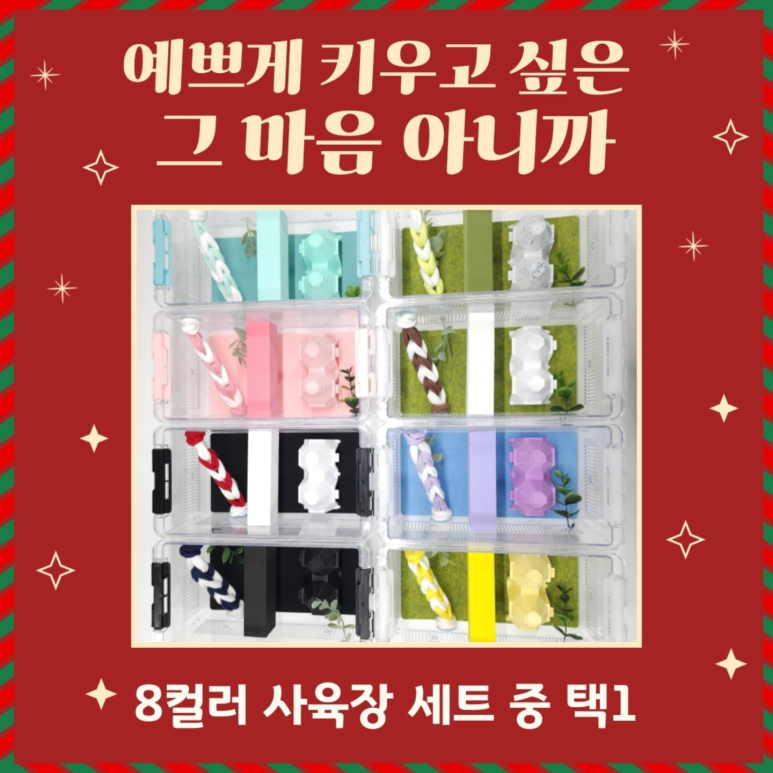 아일랜드샵 이미지