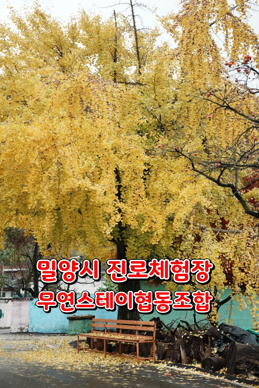 다누리문화협동조합 이미지