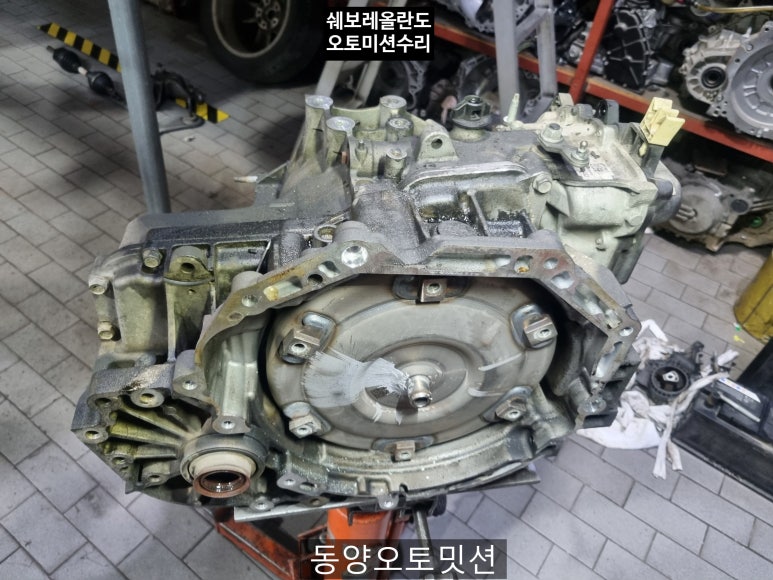 동양오토밋션 이미지