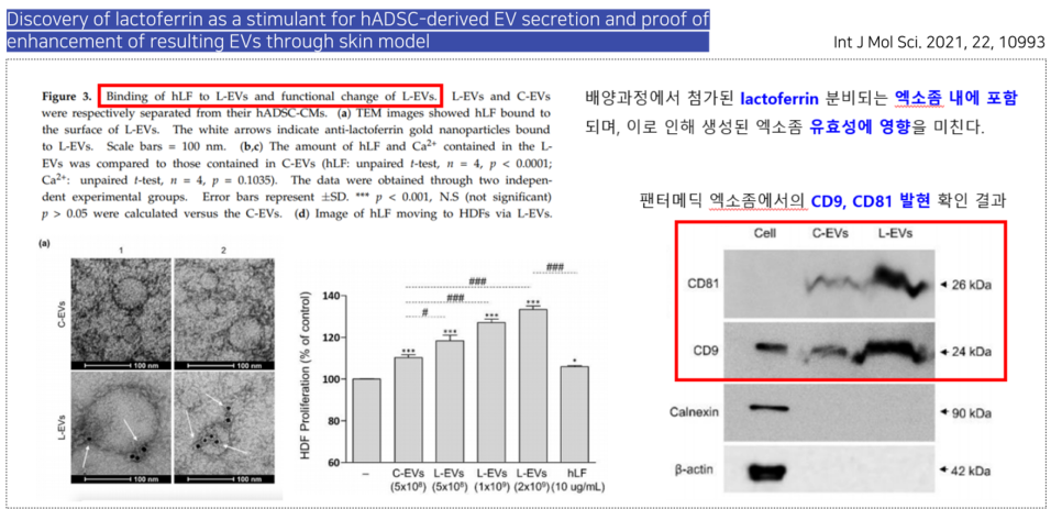 아누보스킨 이미지