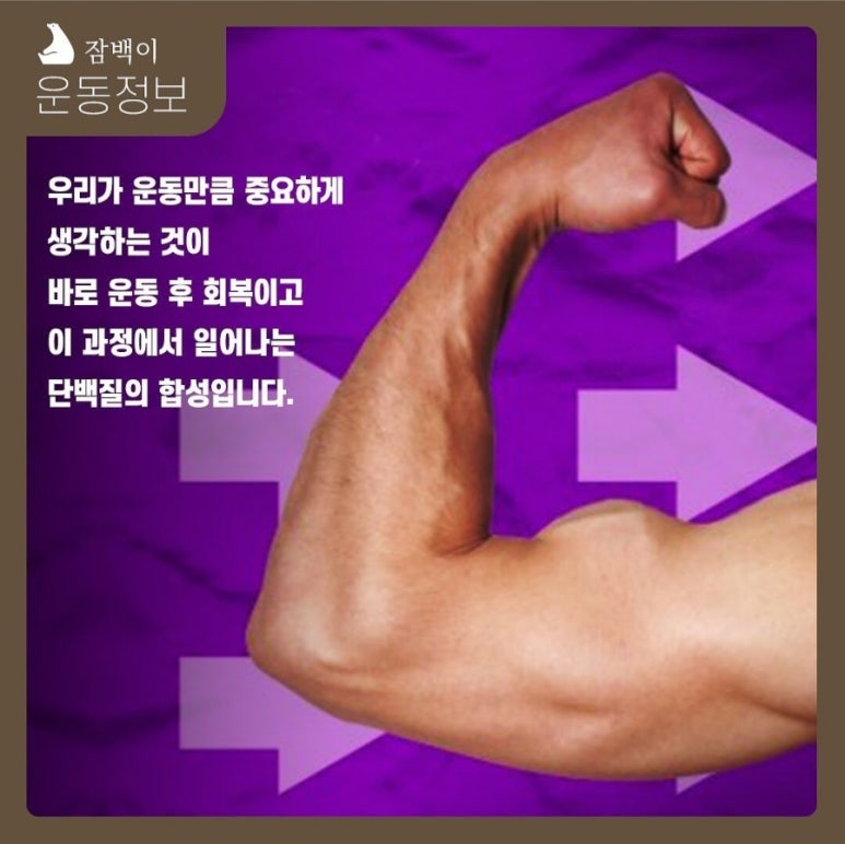 잠백이 이미지