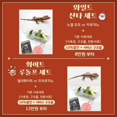 아일랜드샵 이미지