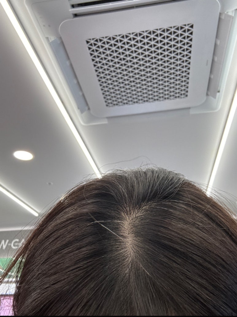 레브하헤어 이미지
