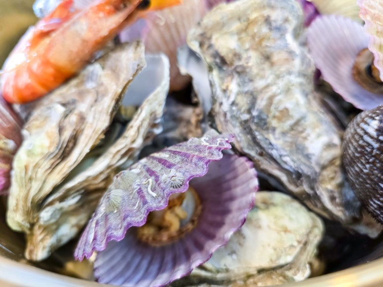 천북굴따라식당 이미지