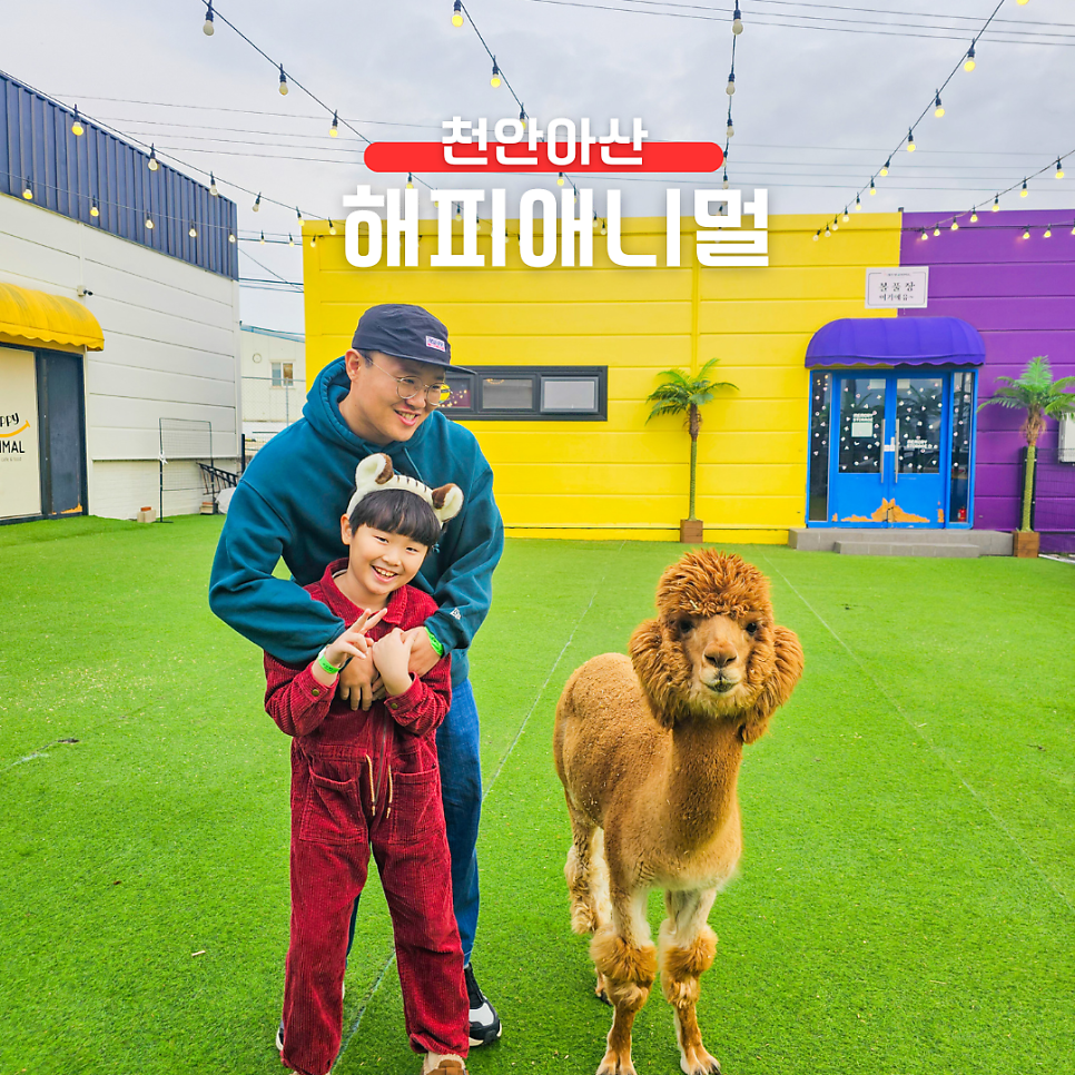 해피애니멀 이미지
