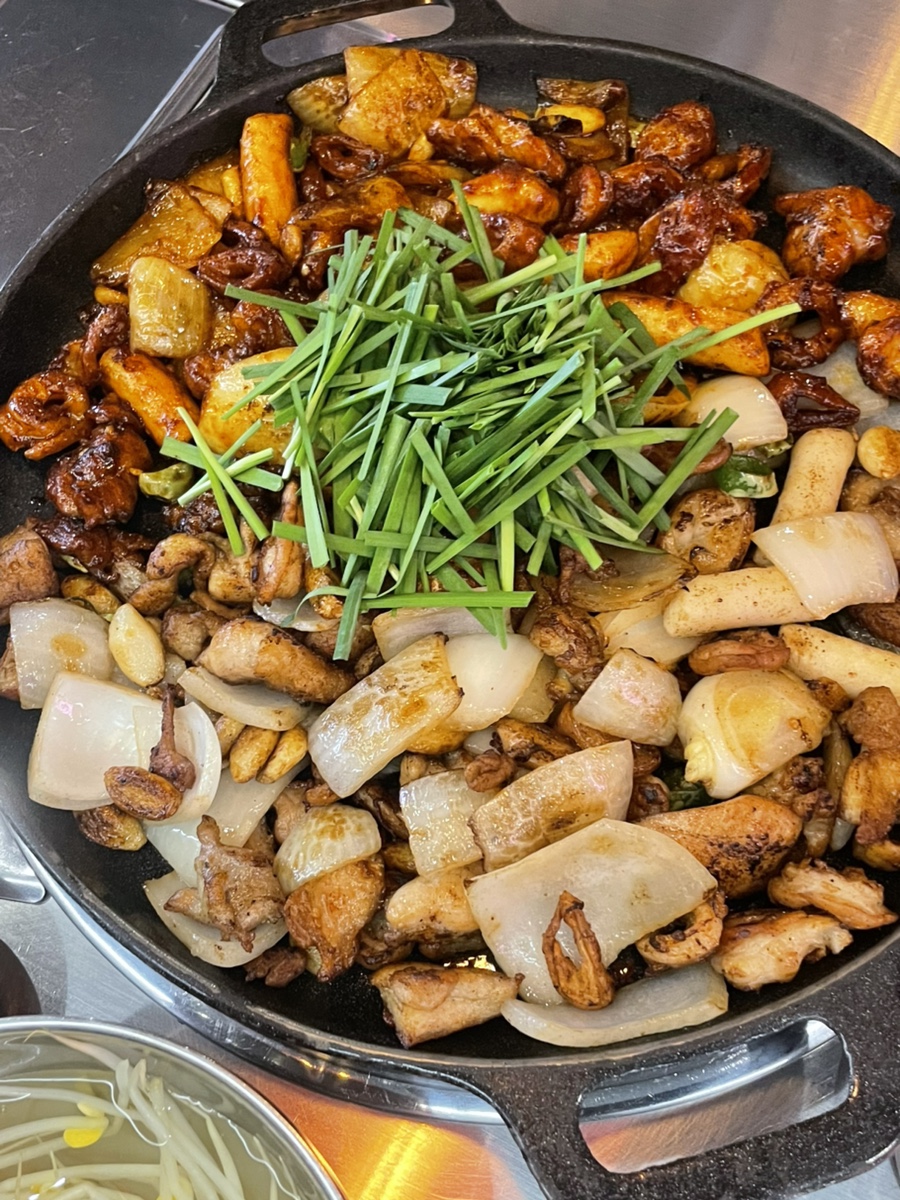코타팸 이미지