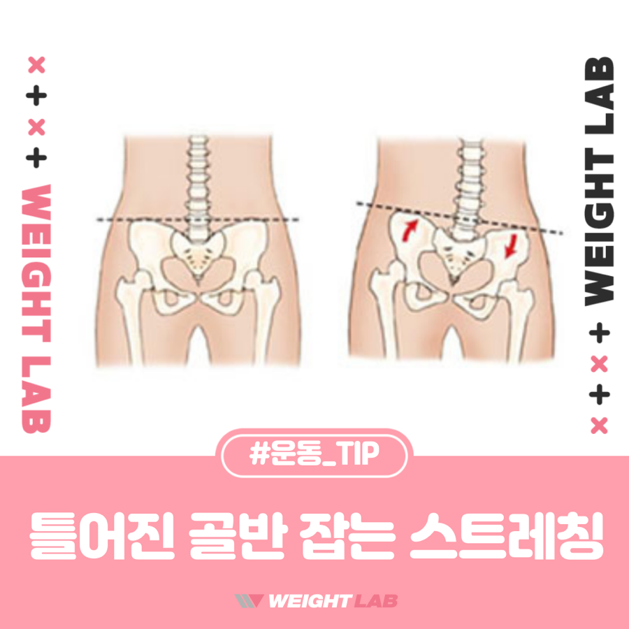 웨이트랩삼전역점 이미지