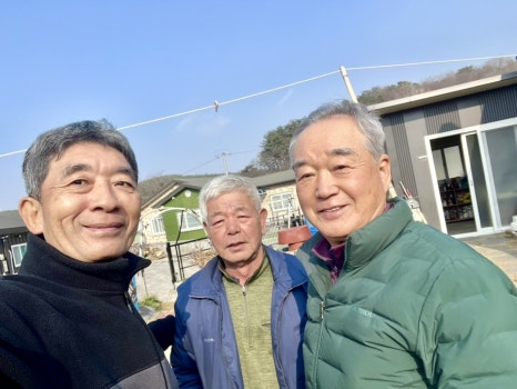 그린야생초발효 이미지