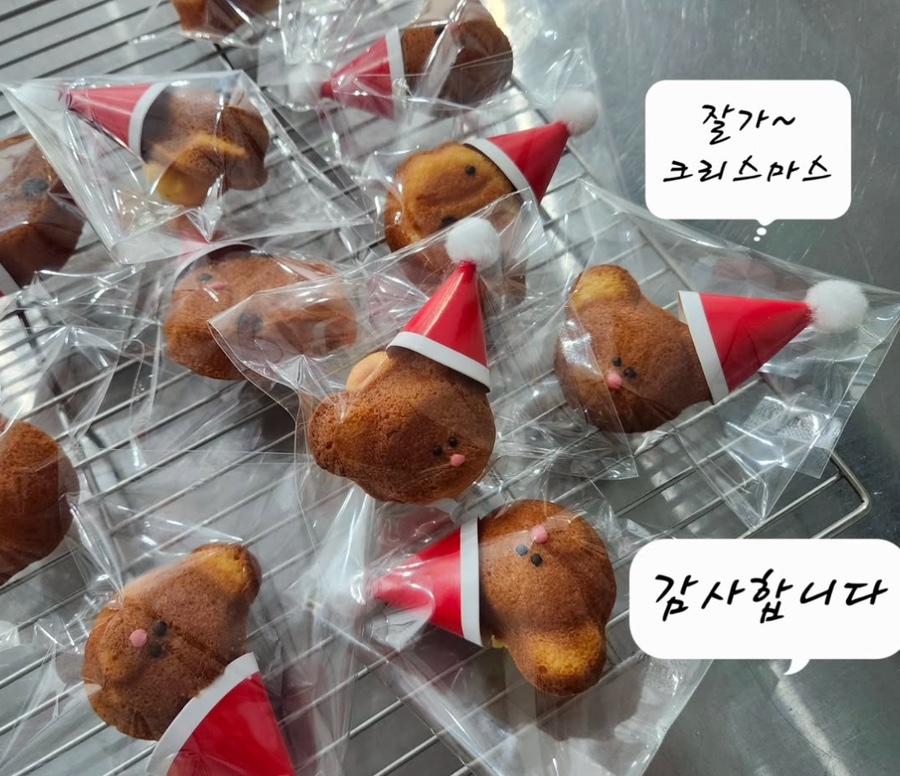 도노일공일 이미지