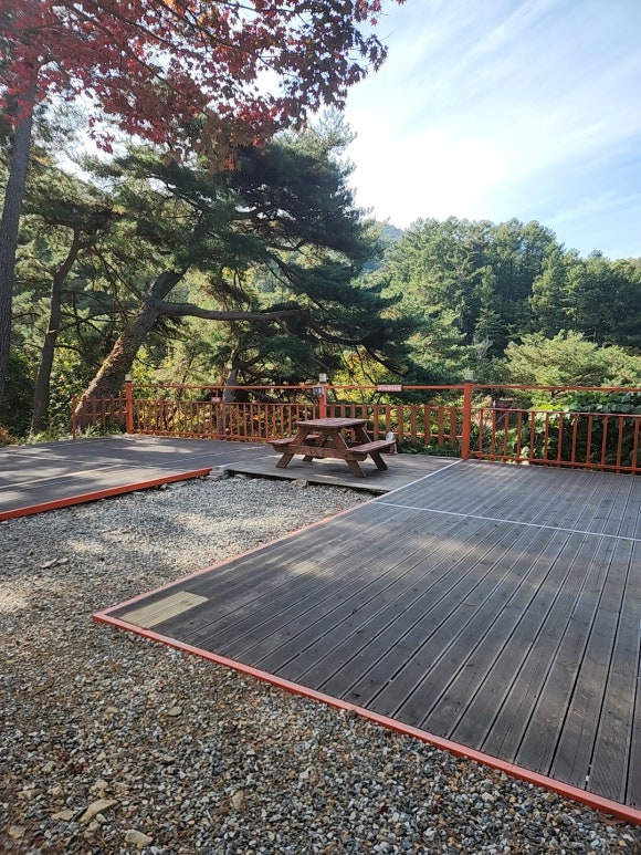 팜스프링 야영장 이미지