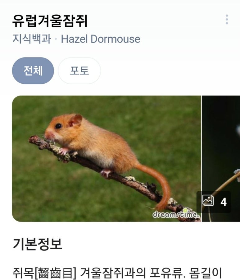 윈터메이 이미지