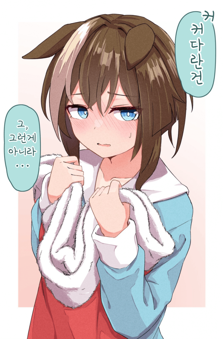 슈발 이미지