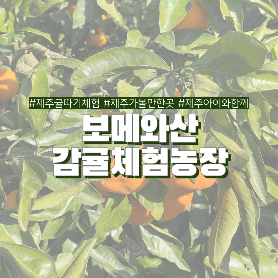 보메와산 이미지