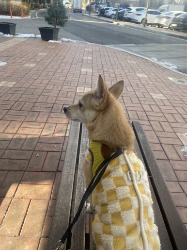 푸루무스튜디오 이미지