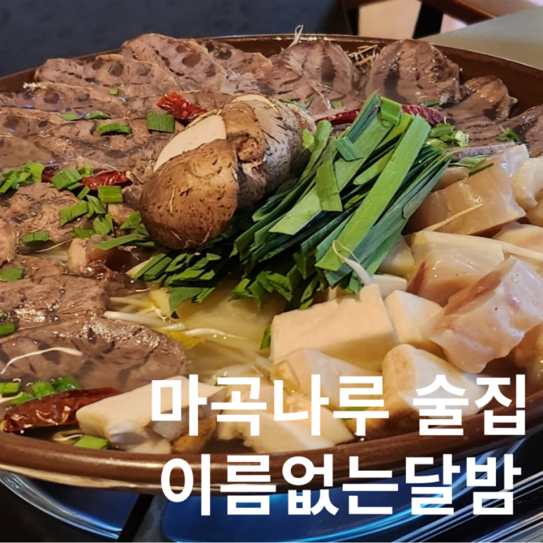 이름없는달밤 이미지