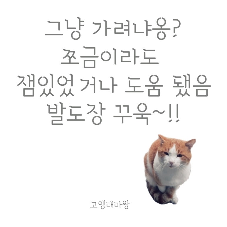 숯돌이네닭갈비구이 이미지