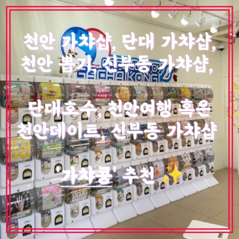 가챠콩 이미지