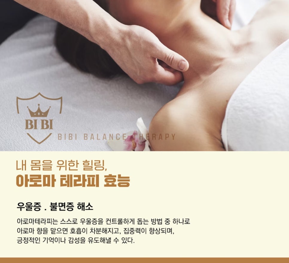 비비바디밸런스 이미지