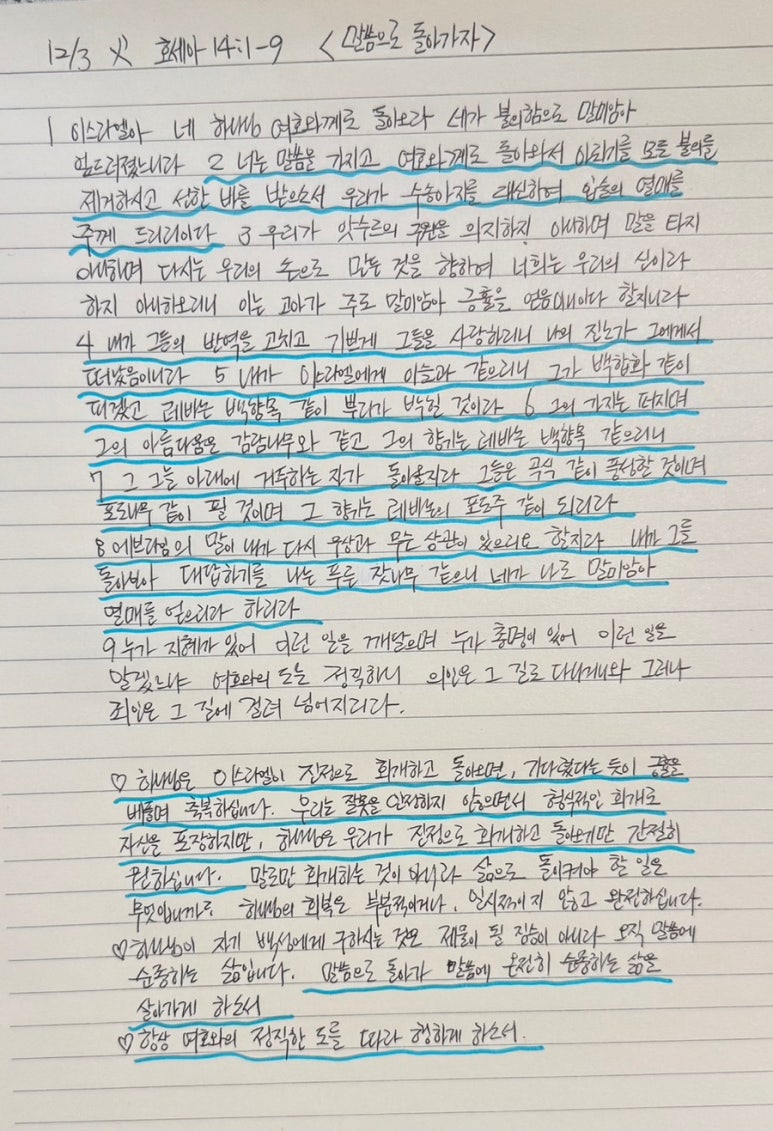인애플라워 이미지