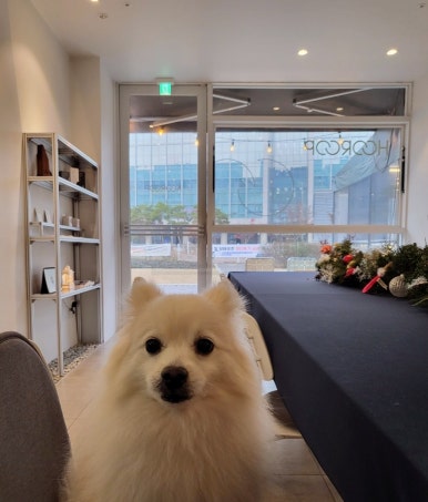 후룹로스터스 이미지