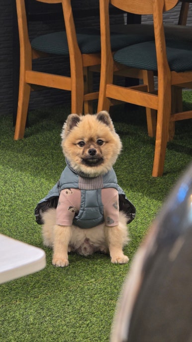 이가한우정육식당 이미지