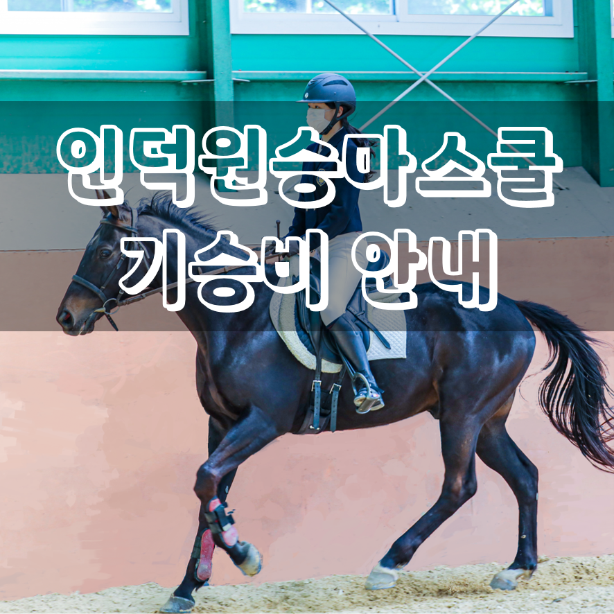 인덕원승마스쿨 이미지