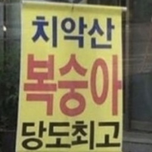 장군본가 이미지