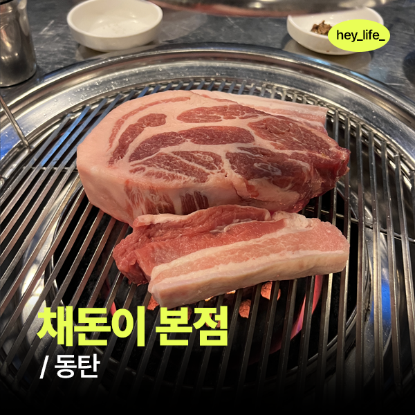 채돈이 이미지