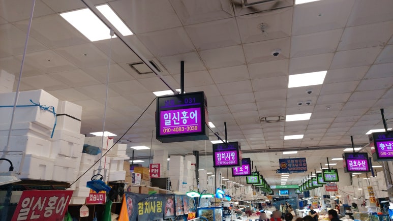 일신 수산 이미지