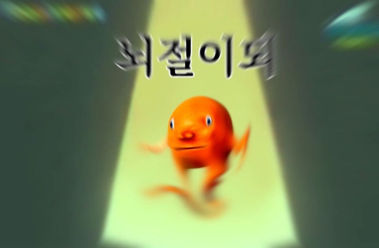 라뽀즈 이미지
