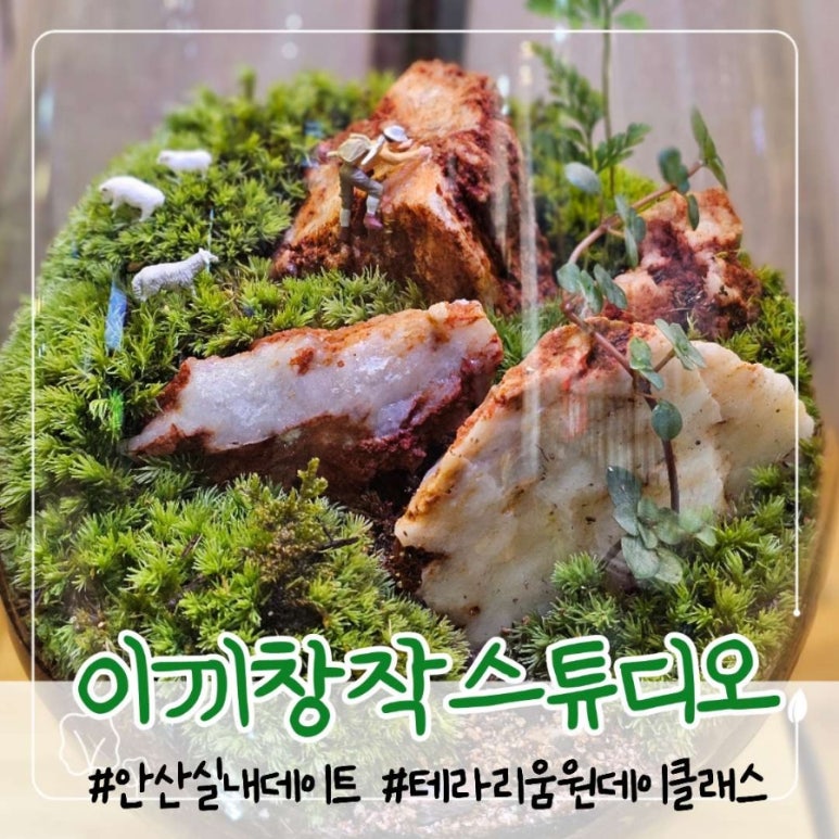 이끼창작스튜디오 이미지