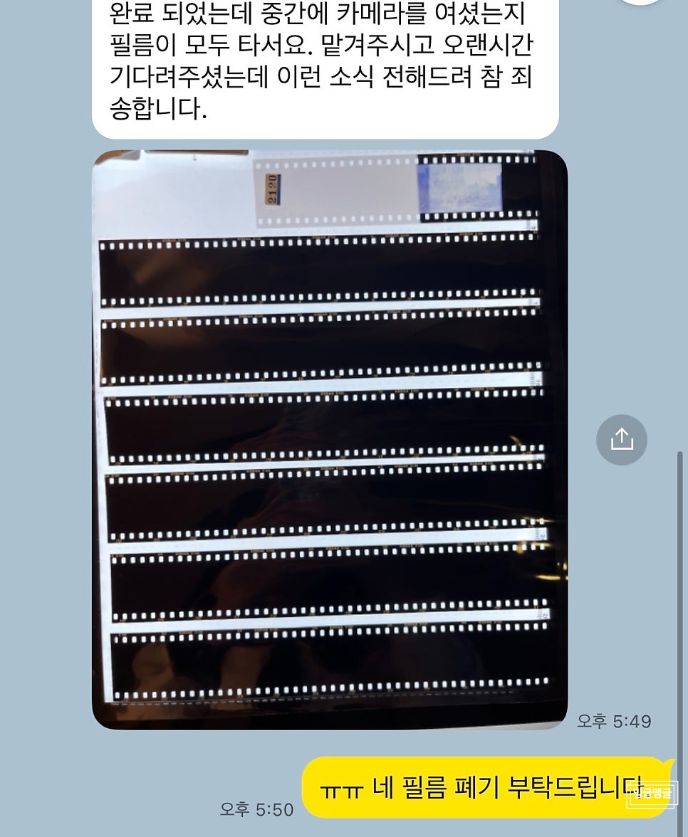 세기사 이미지