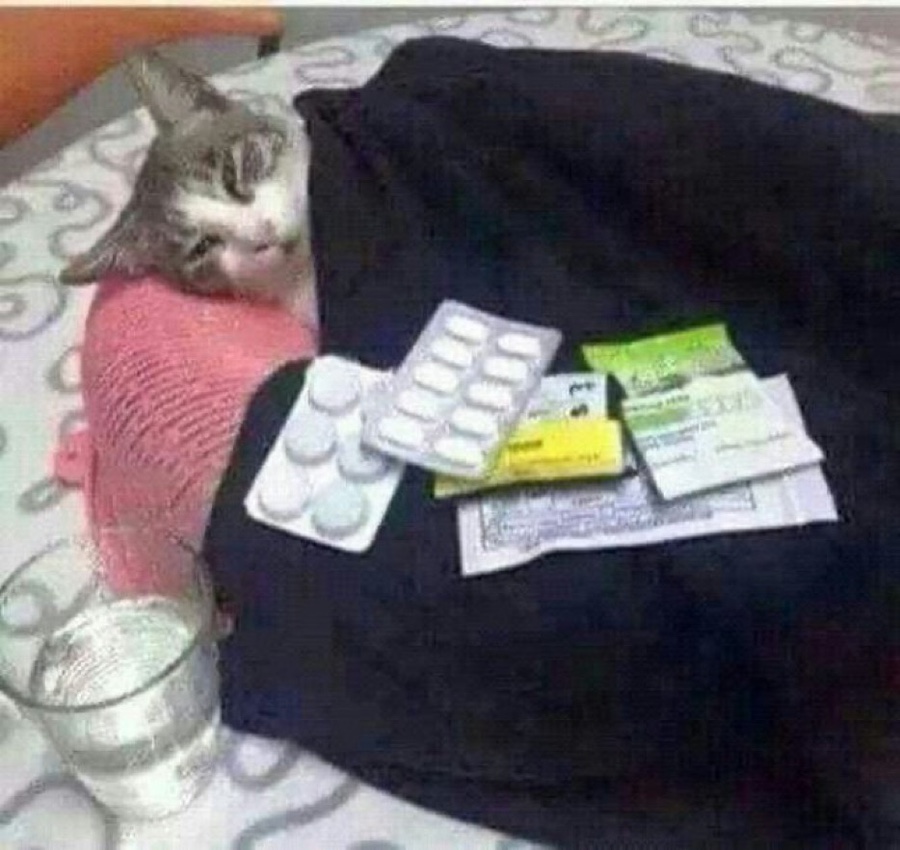 일렁일렁 이미지