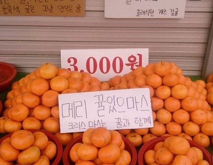 제네럴도넛샵 이미지
