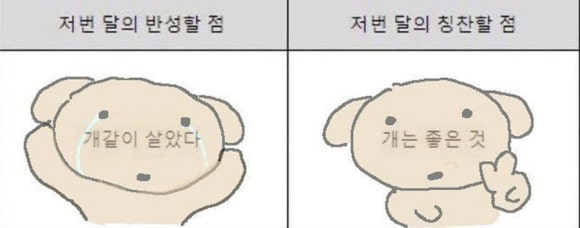스무스무 이미지