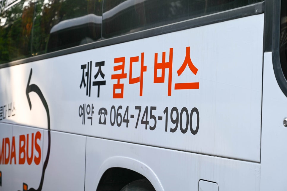 제주메가투어 이미지