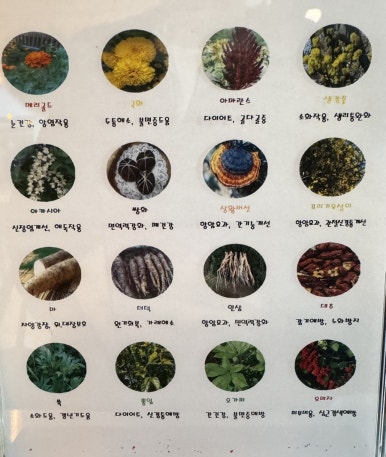 숲소리담은차 이미지