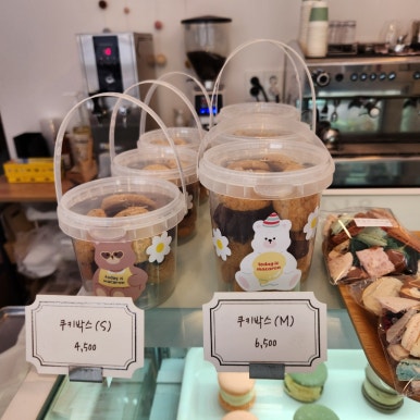 오늘은마카롱 이미지