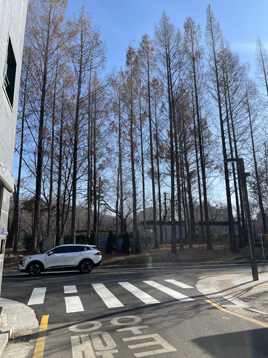 피자에공감하다 이미지
